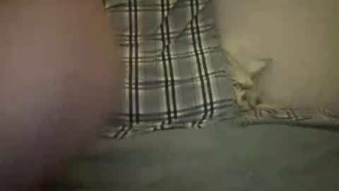 Snapshot of canadianbigdaddyx chatting on December 20, 2024, 2:41 am CanadaPanda online show from December 20, 2024, 2:41 am