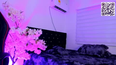 Snapshot of caramelo_exotico chatting on December 13, 2024, 3:05 am Caramel online show from December 13, 2024, 3:05 am