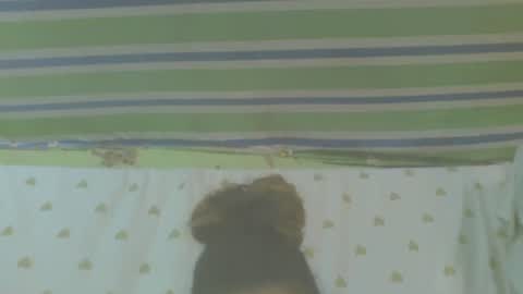 carinesexy69 online show from October 31, 2025, 10:16 am