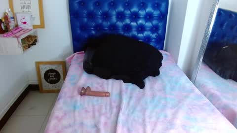 Carla online show from January 16, 2025, 5:55 pm