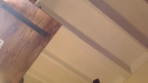 carlajames_1 online show from February 27, 2026, 11:38 pm