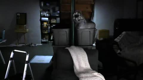 Carl online show from February 4, 2025, 8:02 am