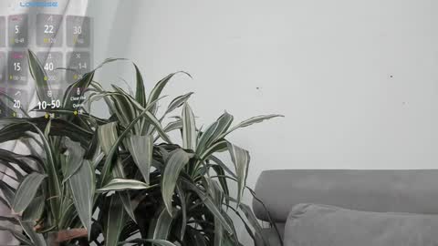 Snapshot of carolina_t chatting on January 22, 2025, 12:59 am carolina_t online show from January 22, 2025, 12:59 am