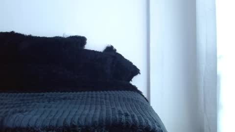 caroline online show from April 1, 2026, 1:41 pm