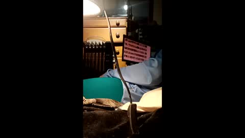 Snapshot of caryb chatting on February 24, 2026, 8:56 am caryb online show from February 24, 2026, 8:56 am