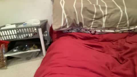 casanovacasaa online show from February 20, 2025, 7:19 pm