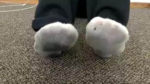 cash13bychanel online show from November 14, 2025, 7:34 pm