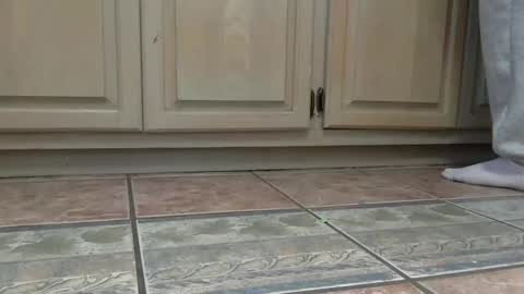 Snapshot of cash13bychanel chatting on December 22, 2025, 7:44 pm cash13bychanel online show from December 22, 2025, 7:44 pm