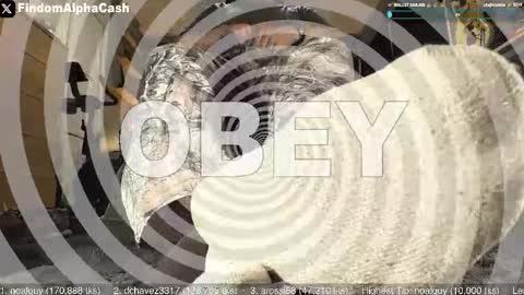 Master Grey online show from May 15, 2026, 4:08 am