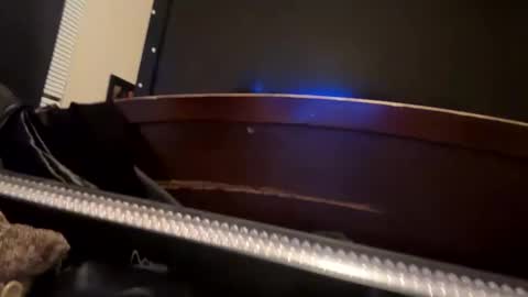 Snapshot of casidy1 chatting on January 8, 2025, 9:10 am casidy1 online show from January 8, 2025, 9:10 am