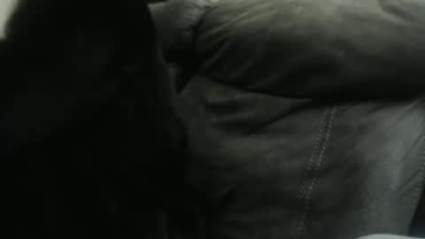 Snapshot of casidy1 chatting on January 23, 2025, 10:32 am casidy1 online show from January 23, 2025, 10:32 am