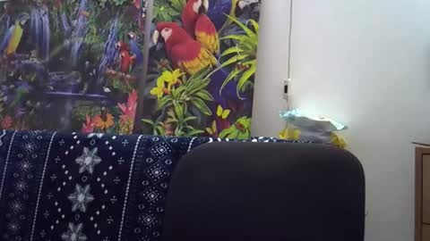 Snapshot of cassandra191 chatting on December 5, 2025, 1:42 pm Cassandra online show from December 5, 2025, 1:42 pm