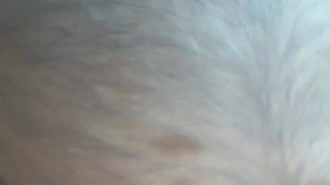Snapshot of castells chatting on September 22, 2025, 4:09 pm castells online show from September 22, 2025, 4:09 pm