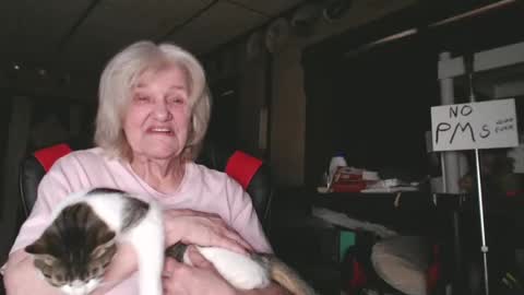 Snapshot of cat9paw chatting on February 4, 2025, 9:31 pm cat online show from February 4, 2025, 9:31 pm