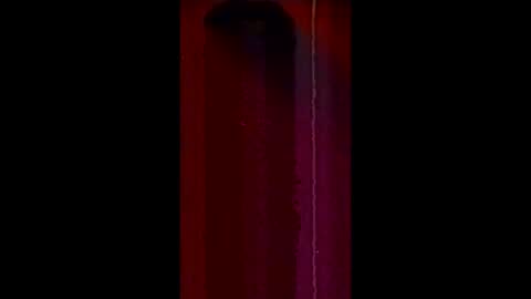 Snapshot of cataleya12372205 chatting on February 21, 2026, 6:03 am cataleya12372205 online show from February 21, 2026, 6:03 am