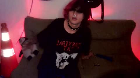 Cat online show from July 1, 2026, 9:25 pm