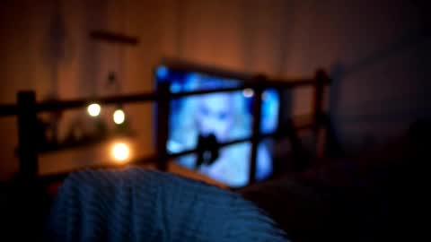 Snapshot of celeste_www chatting on February 14, 2026, 5:10 pm Sunflower online show from February 14, 2026, 5:10 pm