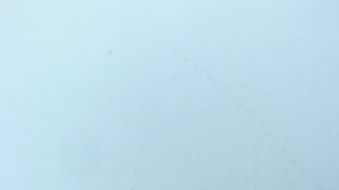 celiani_caleb online show from November 3, 2025, 3:08 am