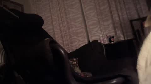 cfnmfriendly online show from October 23, 2025, 4:06 pm