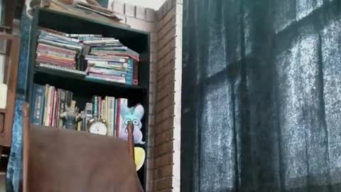 cguffey2284 online show from February 18, 2025, 4:05 pm