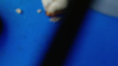 cguffey2284 online show from March 7, 2025, 4:24 am