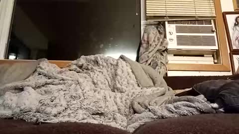 Snapshot of chad1980420 chatting on February 11, 2026, 12:37 am Chad420247 online show from February 11, 2026, 12:37 am