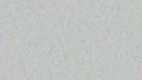 oilmeup online show from April 6, 2026, 7:42 am