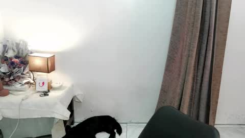 Snapshot of chakadal_xx chatting on November 20, 2025, 6:46 am chakadal_xx online show from November 20, 2025, 6:46 am