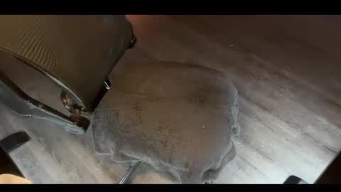 CharlieTango Live online show from November 12, 2025, 2:01 am