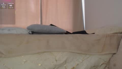 Snapshot of charlottehorny1 chatting on February 8, 2026, 3:04 pm charlottehorny1 online show from February 8, 2026, 3:04 pm