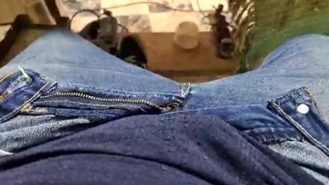 Parcero online show from September 14, 2025, 1:32 pm