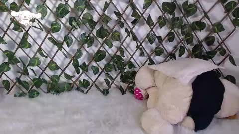 charly_evans60 online show from February 25, 2025, 9:57 pm