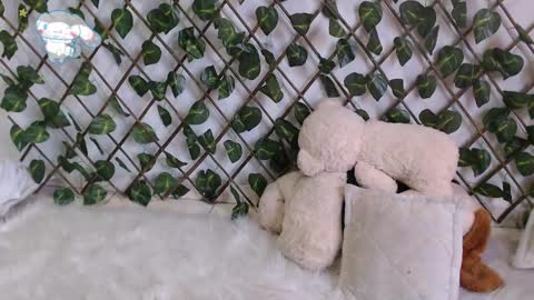 charly_evans60 online show from February 27, 2025, 10:09 pm