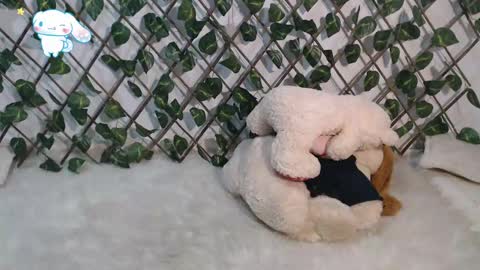 charly_evans60 online show from March 2, 2025, 11:09 pm