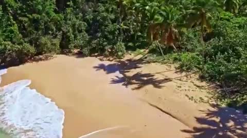 Snapshot of chat_nonnude chatting on December 17, 2024, 4:21 pm Sam online show from December 17, 2024, 4:21 pm