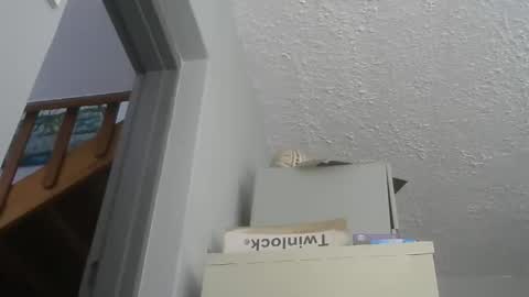 Snapshot of chaturbatordeluxe chatting on December 21, 2025, 5:47 am chaturbatordeluxe online show from December 21, 2025, 5:47 am