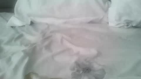 Snapshot of chatusandy26 chatting on February 14, 2026, 7:05 am chatusandy26 online show from February 14, 2026, 7:05 am