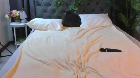 Snapshot of cheezy_cream chatting on December 4, 2025, 4:44 am cheezy_cream online show from December 4, 2025, 4:44 am