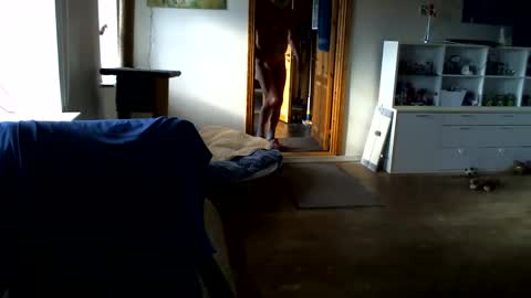 Snapshot of chefben666 chatting on February 14, 2026, 11:29 am chefben666 online show from February 14, 2026, 11:29 am