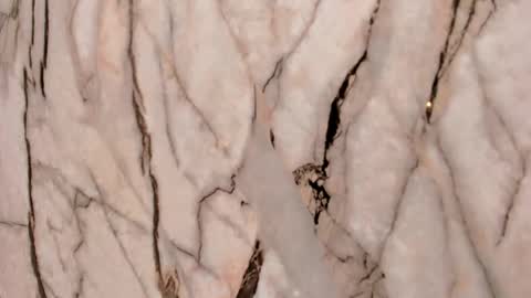 Snapshot of cherry__sweet_ chatting on November 22, 2025, 11:31 am Emma online show from November 22, 2025, 11:31 am