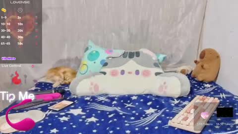 Cherry online show from June 3, 2026, 2:33 pm
