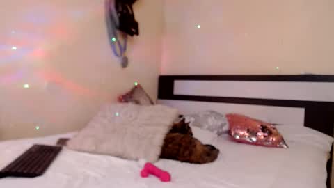 Snapshot of chikandela chatting on April 6, 2026, 8:54 pm Valentina online show from April 6, 2026, 8:54 pm