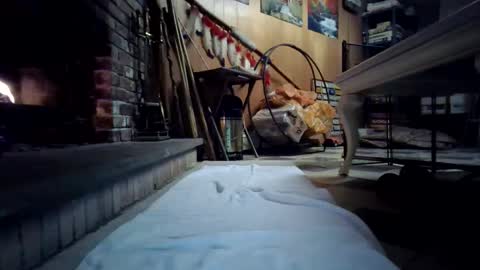 Snapshot of chippy70 chatting on January 18, 2026, 7:45 am chippy70 online show from January 18, 2026, 7:45 am