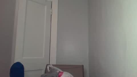 Snapshot of chocolatedolla chatting on March 4, 2025, 2:27 am chocolatedolla online show from March 4, 2025, 2:27 am