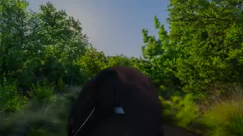 Snapshot of chris2024x chatting on November 10, 2025, 7:51 am Christian online show from November 10, 2025, 7:51 am