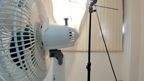 Chris Evans online show from February 2, 2026, 1:10 pm