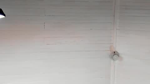 Chriz online show from December 5, 2024, 5:37 am