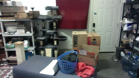 Snapshot of chrisryan00 chatting on December 4, 2024, 5:49 am Chris online show from December 4, 2024, 5:49 am