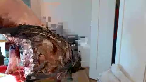 Snapshot of christophe_throbin chatting on January 31, 2026, 10:52 pm christophe_throbin online show from January 31, 2026, 10:52 pm