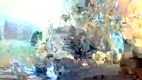 Snapshot of christopher1087 chatting on February 3, 2026, 1:15 am christopher1087 online show from February 3, 2026, 1:15 am